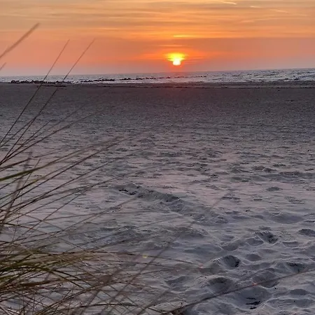 Seeschwalbe Burgtiefe auf Fehmarn