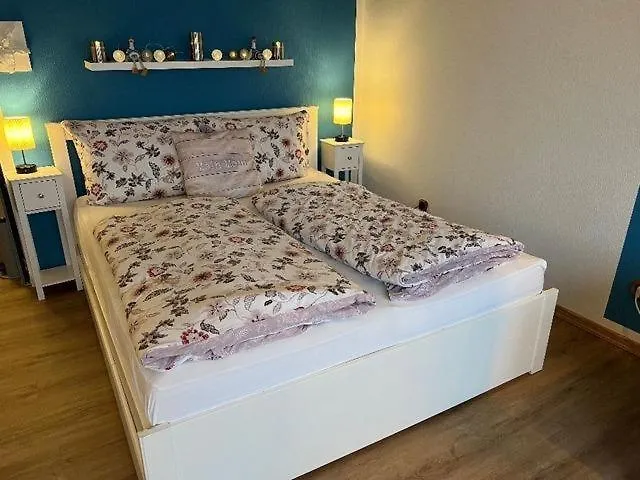 Seeschwalbe Burgtiefe auf Fehmarn