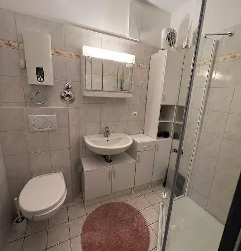 Seeschwalbe Burgtiefe auf Fehmarn